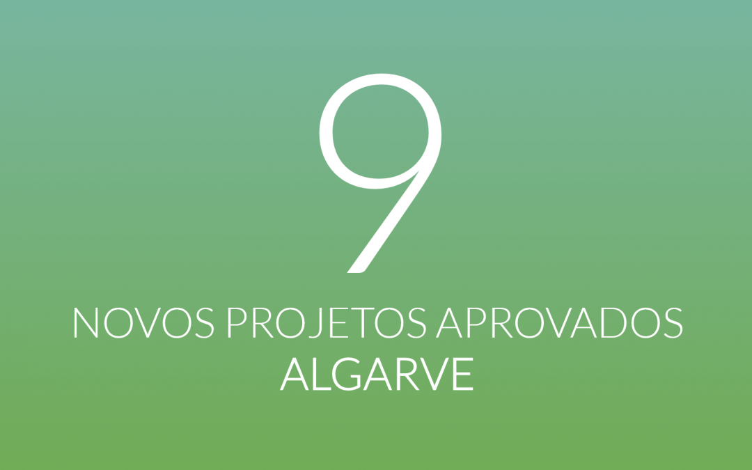 Aprovados 9 novos projetos de inovação social no Algarve