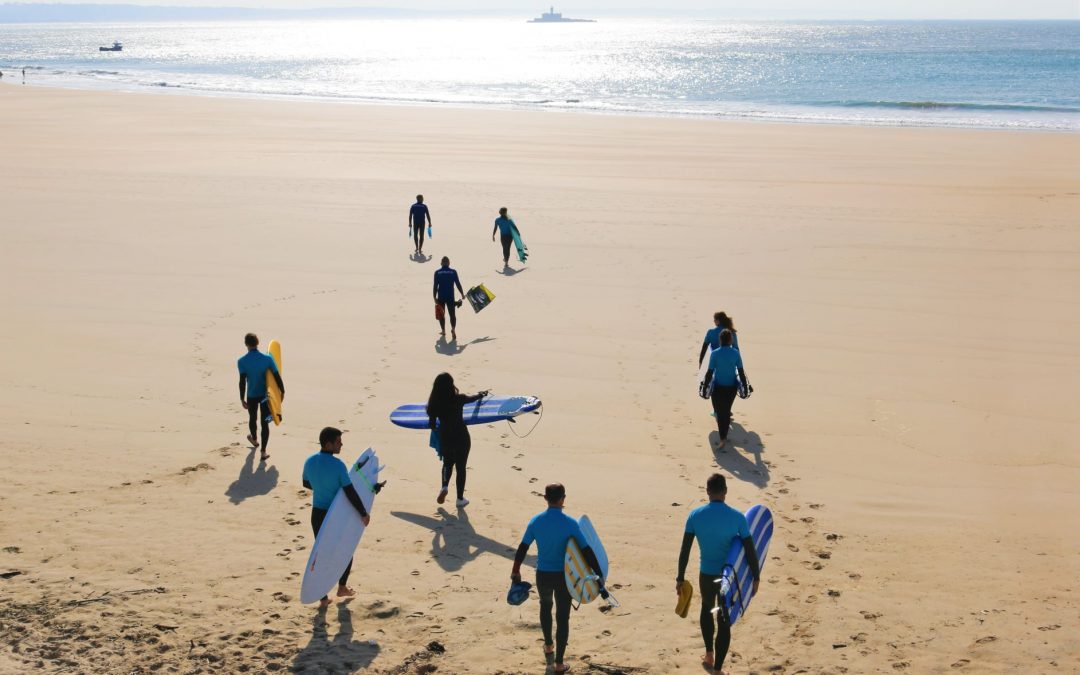 Programa Surf para a Empregabilidade